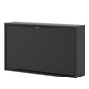 Axton Choctaw Shoe Cabinet with 1 Tilting Door And 2 Layers In Matt Black